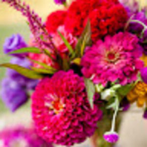 Meet your Posher, Leilah